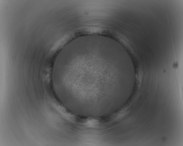 X0000113290462200909211107