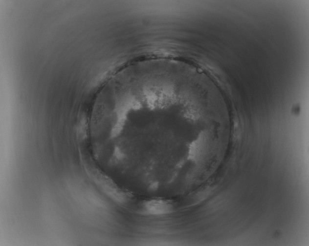 X0000113290465200909211107