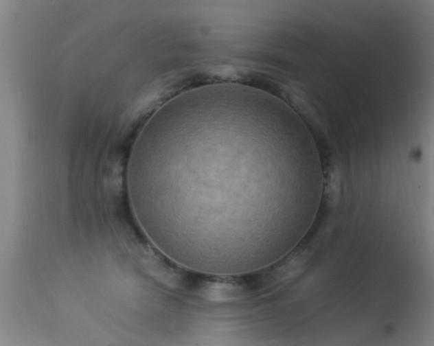 X0000113290466200909211107