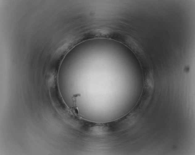 X0000113290468200909211107