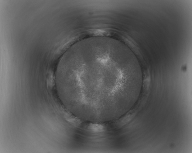 X0000113290469200909211107