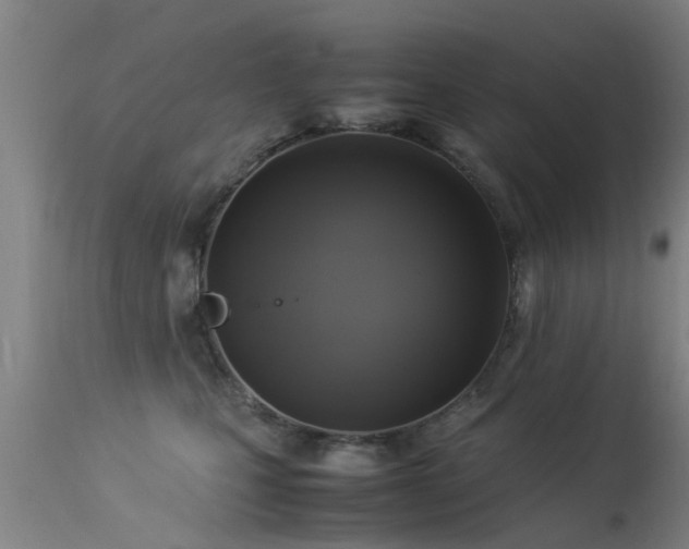 X0000113290471200909211107