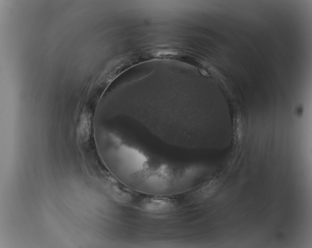 X0000113290475200909211108