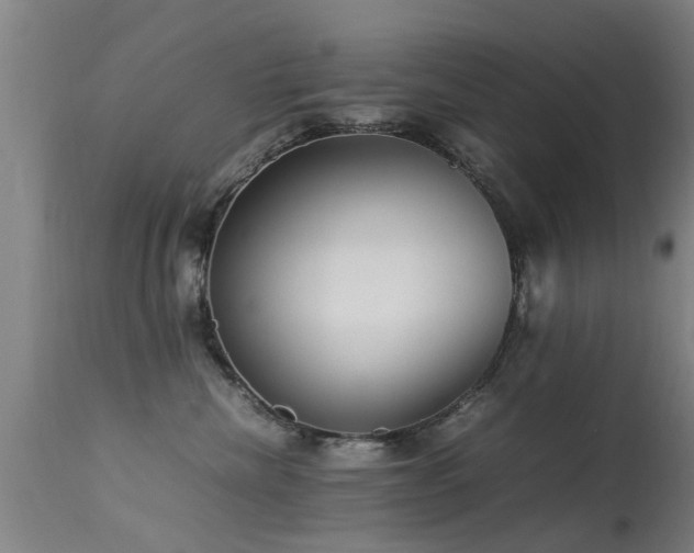 X0000113290476200909211108