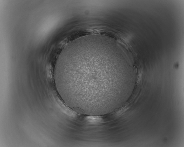 X0000113290477200909211108