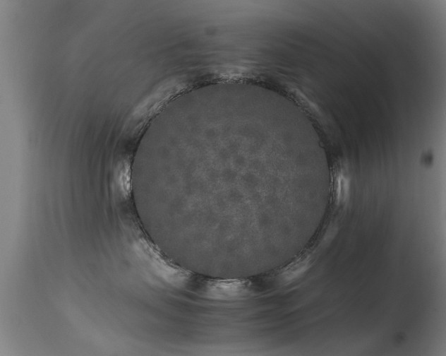 X0000113290479200909211108