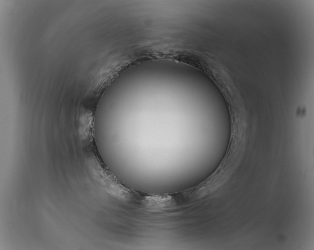 X0000113290480200909211108