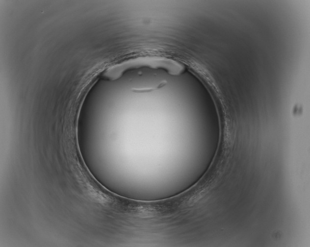 X0000113290481200909211107