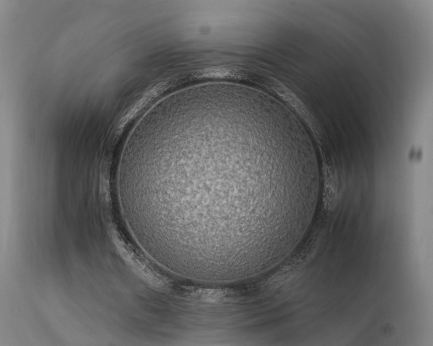 X0000113290482200909211107