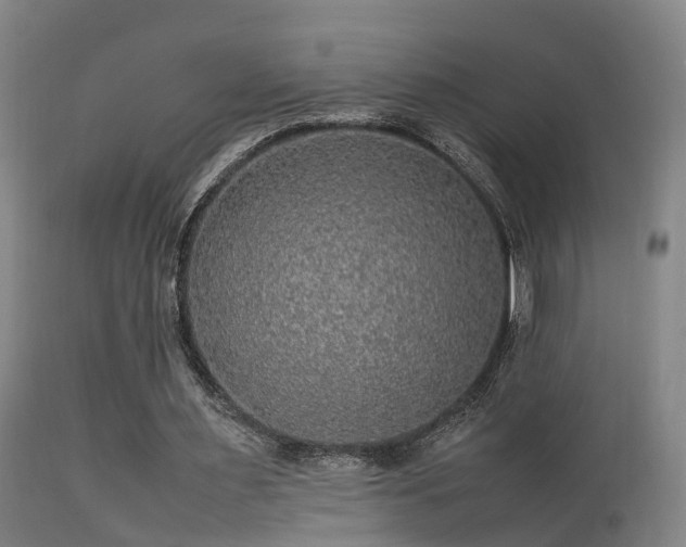 X0000113290483200909211107