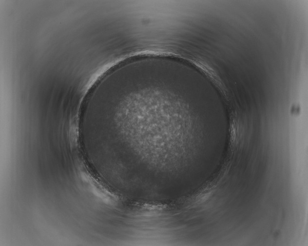 X0000113290484200909211107