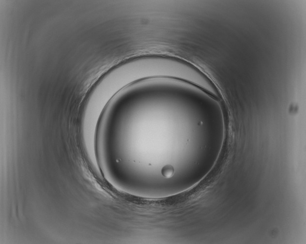 X0000113290485200909211107