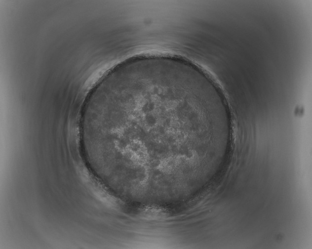 X0000113290487200909211107