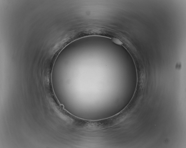 X0000113290489200909211107