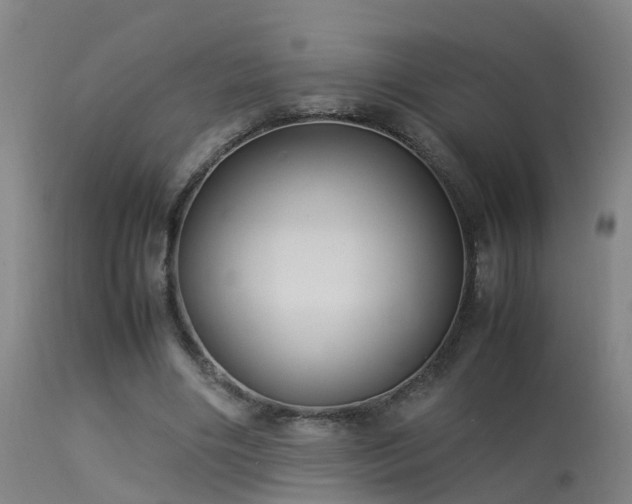 X0000113290490200909211107