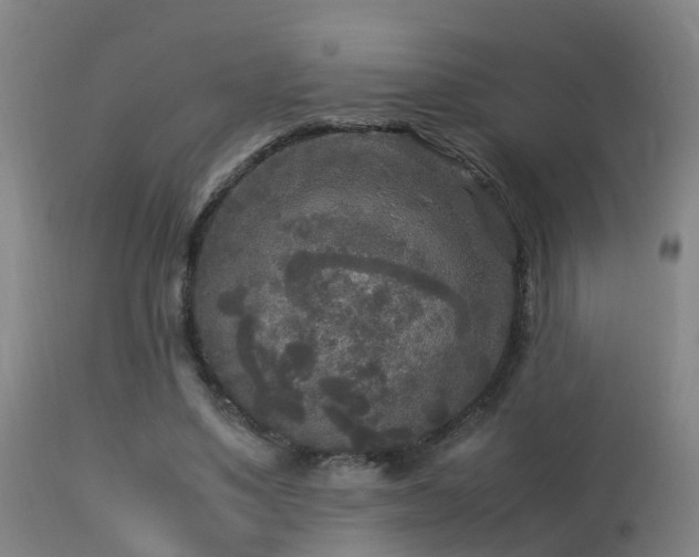 X0000113290491200909211107