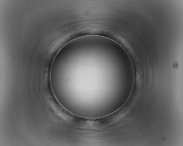 X0000113290493200909211107