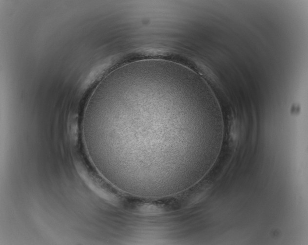 X0000113290494200909211107