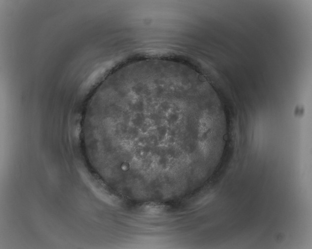 X0000113290495200909211107