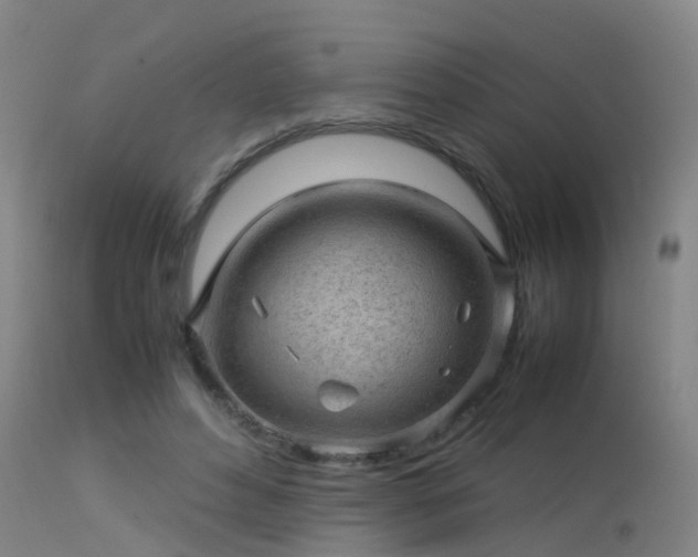 X0000113290496200909211107