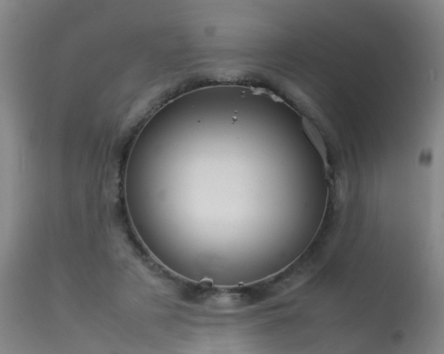 X0000113290497200909211107