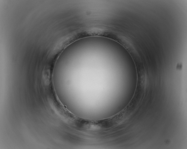 X0000113290498200909211107