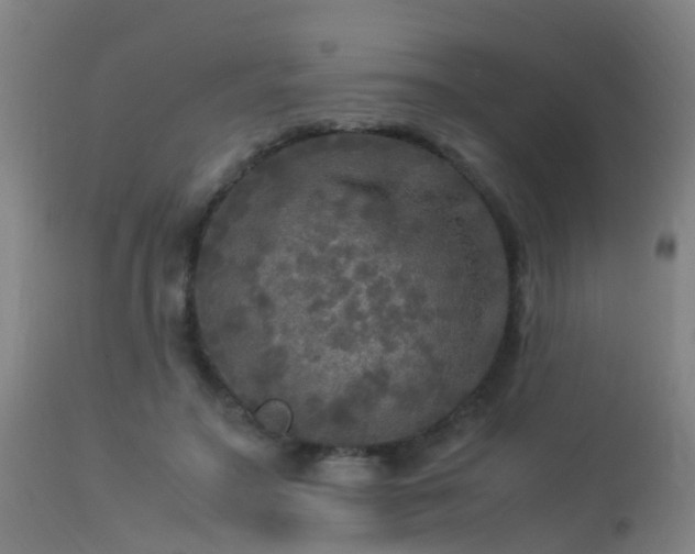 X0000113290499200909211107