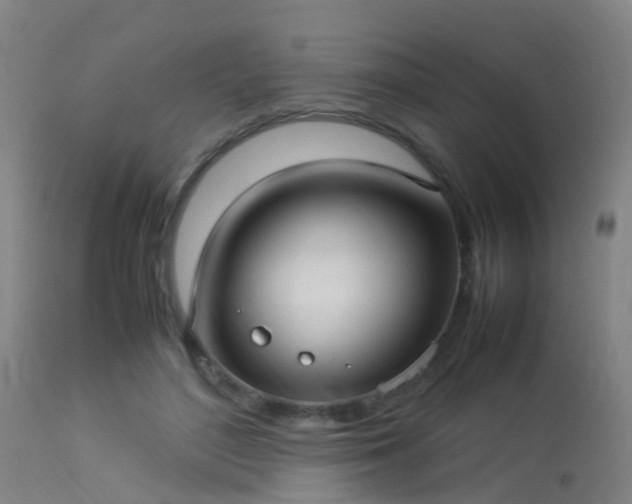 X0000113290500200909211107