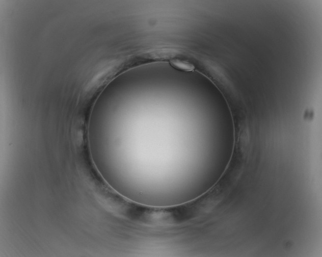 X0000113290501200909211107