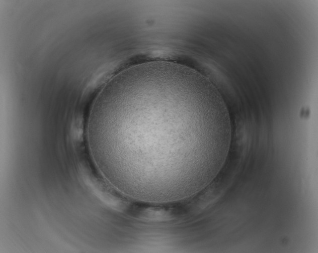 X0000113290502200909211107