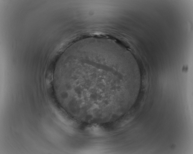 X0000113290503200909211107