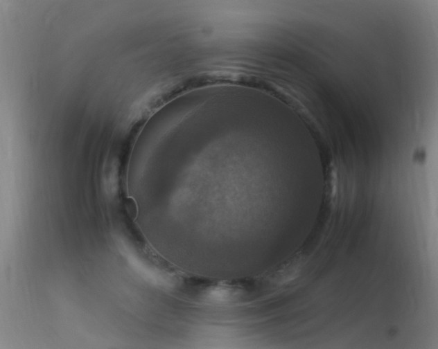 X0000113290504200909211107