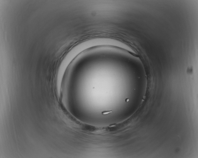 X0000113290505200909211107