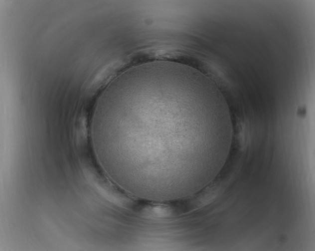 X0000113290506200909211107