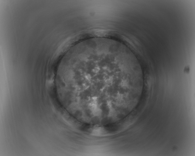 X0000113290507200909211107