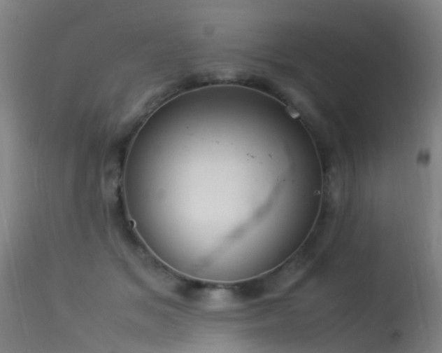 X0000113290509200909211107