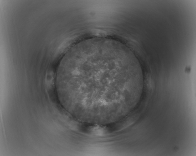 X0000113290511200909211107