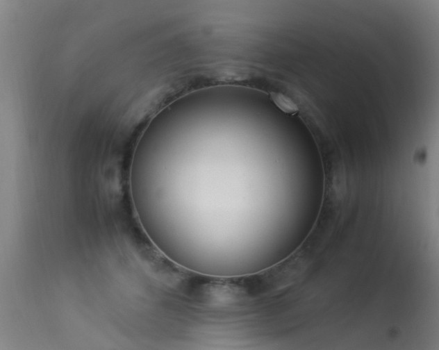 X0000113290512200909211107