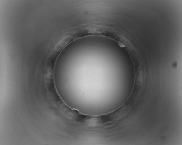 X0000113290513200909211107