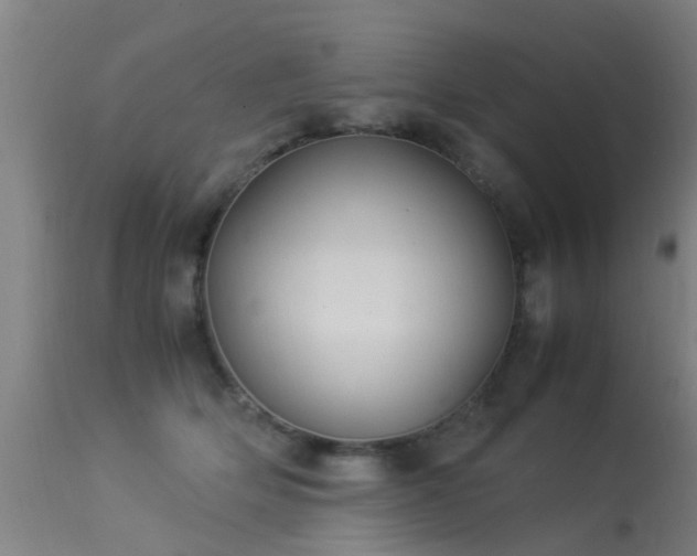 X0000113290514200909211107