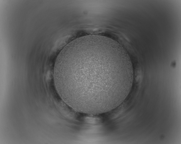 X0000113290515200909211106