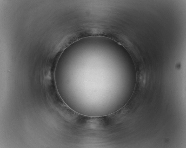 X0000113290516200909211106