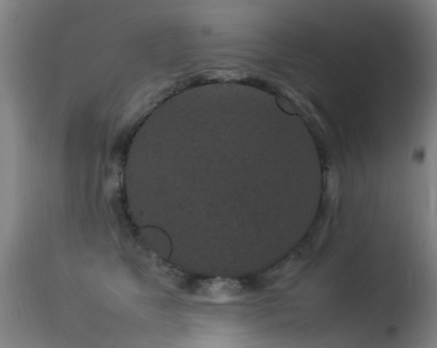 X0000113290517200909211106