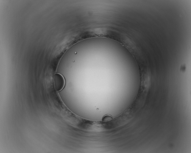 X0000113290518200909211106