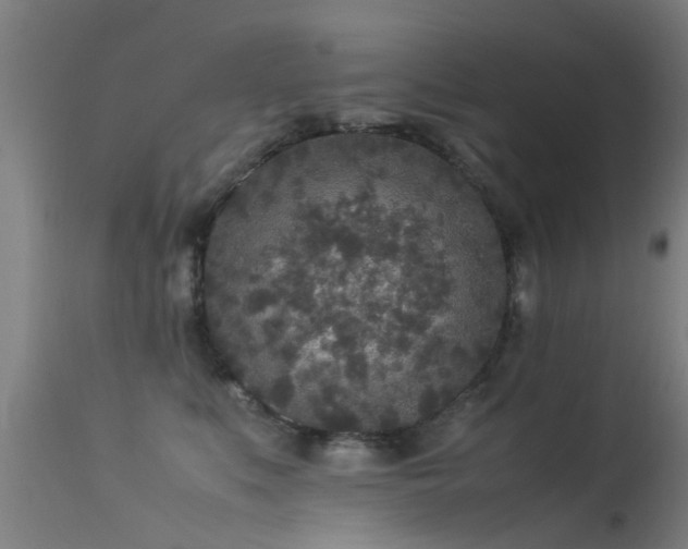 X0000113290519200909211106