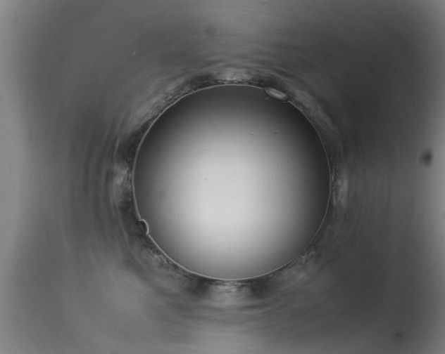 X0000113290521200909211106