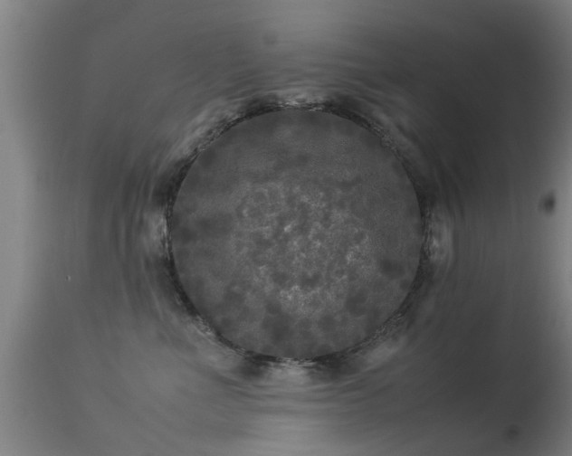 X0000113290523200909211106