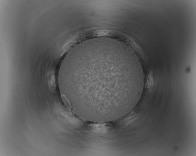 X0000113290524200909211106