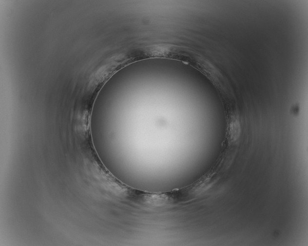 X0000113290525200909211106