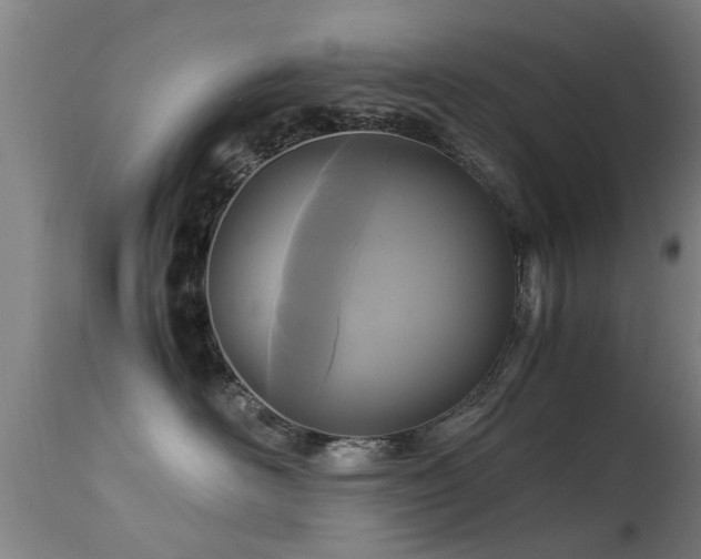 X0000113290526200909211106